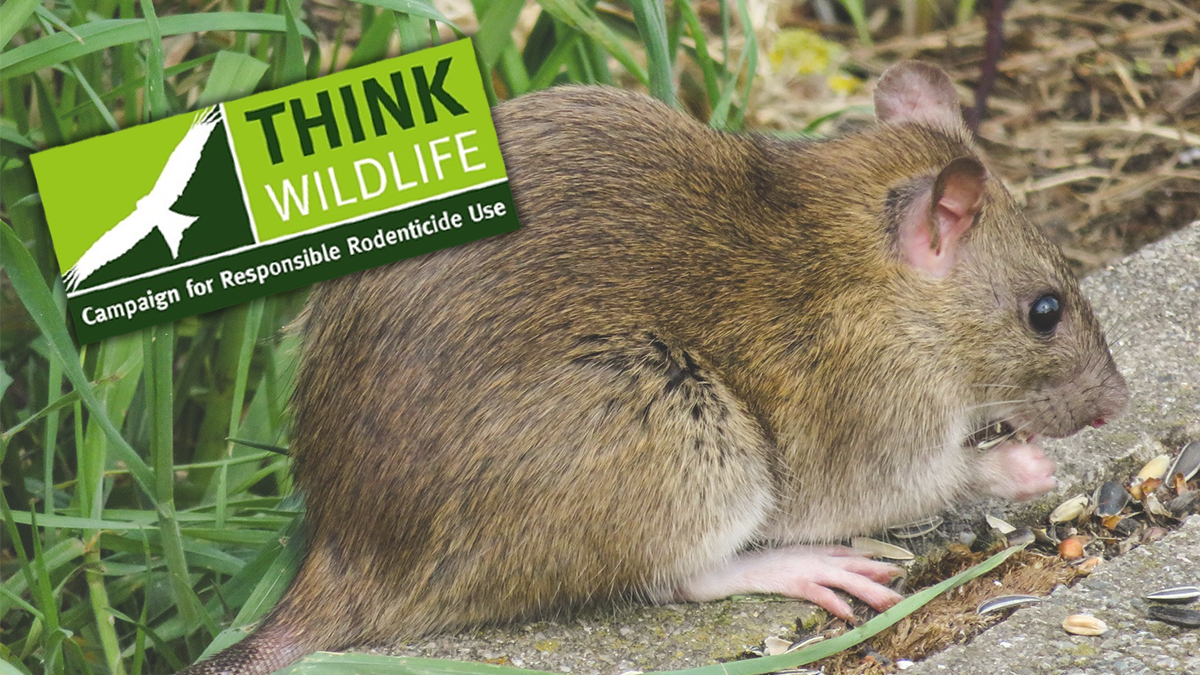 CRRU study rodenticide resistance CRRU study rodenticide resistance